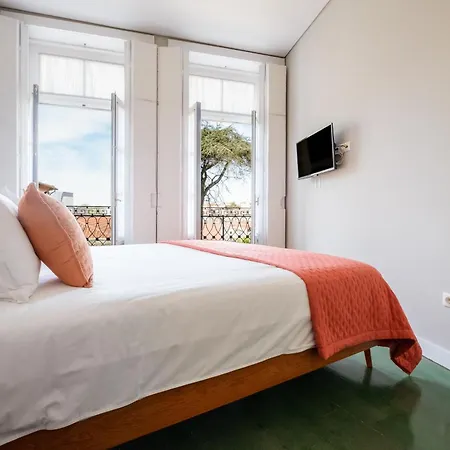 Alegria Colour * Oporto