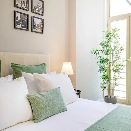 Apartment Alegria Colour *