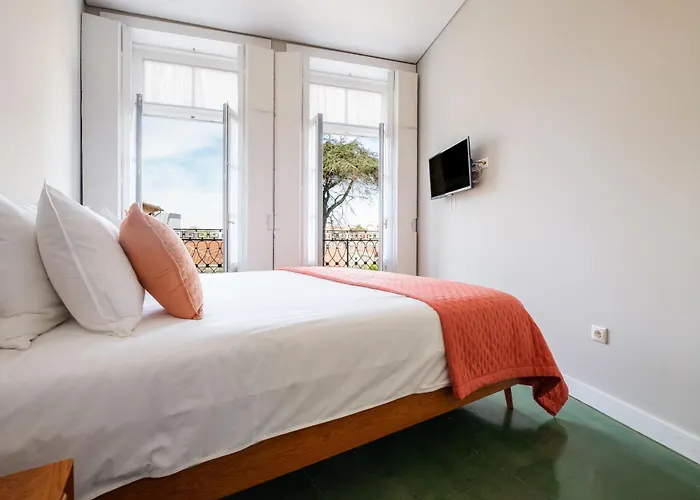 Alegria Colour * Porto