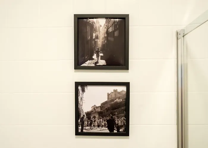 Alegria Colour Porto