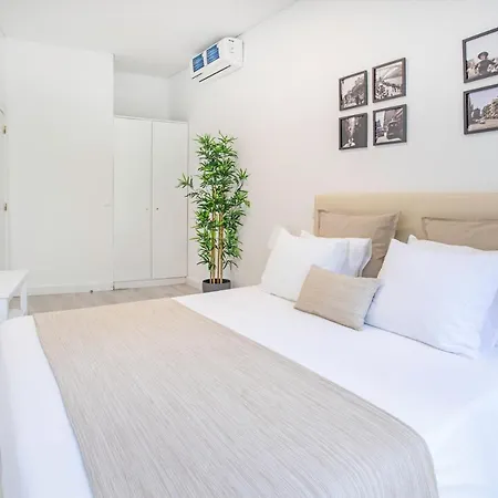 Alegria Colour Porto