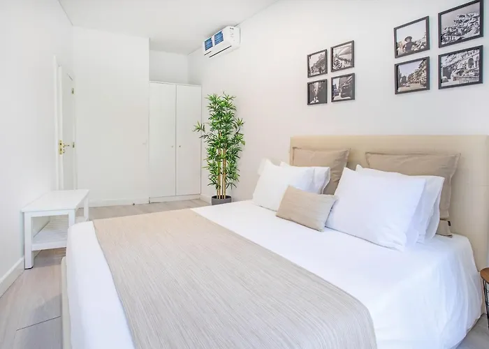 Alegria Colour Порту